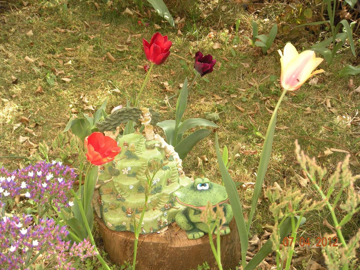 In Our Backyard - Metula Vila Exterior foto